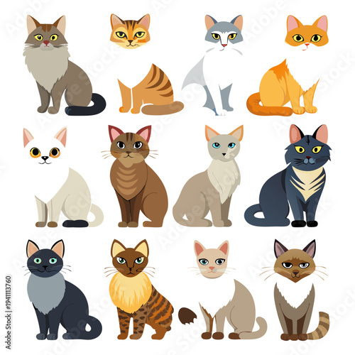 Twelve cat breeds illustration sitting in a row