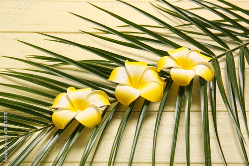 Beautiful plumeria flowers ...