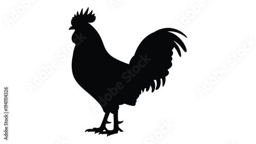 A black silhouette of a rooster standing on a surface