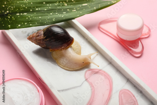 Tray, giant Achatina snail,...