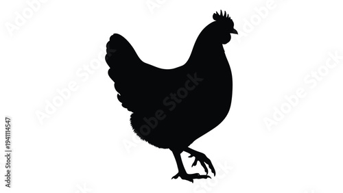 A black silhouette of a chicken standing on one leg