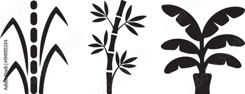 tropical plants sugarcane bamboo and banana leaves clean silhouette vector illustrations