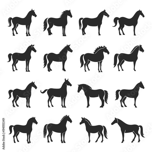 Collection of various horse silhouette vector illustrations in black