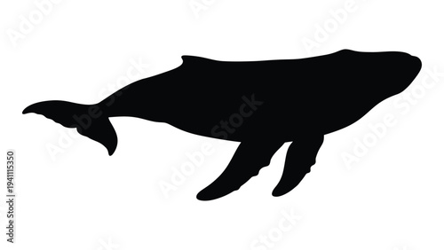A large black silhouette of a whale swimming
