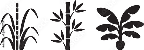 tropical plants sugarcane bamboo and banana leaves clean silhouette vector illustrations