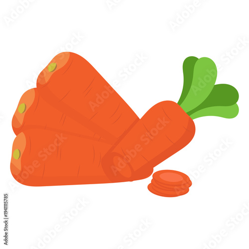 Pile of Fresh Carrots Illustration