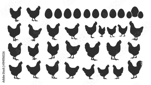 Black silhouettes of chickens and eggs