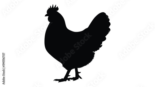 A black silhouette of a chicken standing on its legs