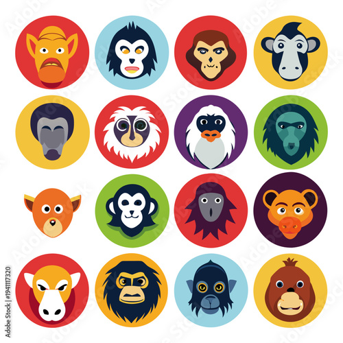 Cartoon monkey heads set in colorful circular background collection