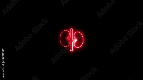 Futuristic glowing neon Kidneys icon with smooth animated. Glowing Human kidney icon animation.