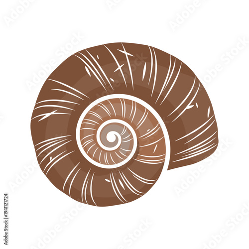 Illustration of a scratched spiral shell on a white background, featuring intricate details and isolated design