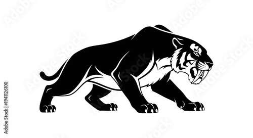 Black Panther Walking Forward.