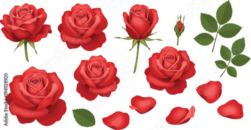 Beautiful seamless pattern set featuring a romantic bouquet of red rose blossoms with green leaves and petals isolated on white for a floral Valentine holiday gift