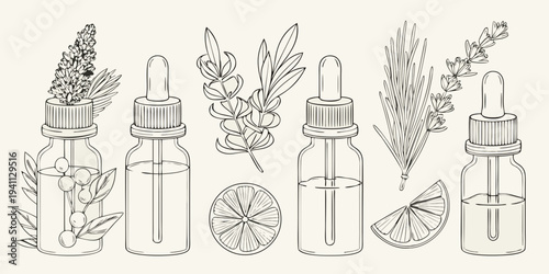 Botanical illustration of dropper bottles with herbs and citrus slices