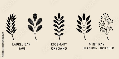 Botanical illustration featuring various herb leaves in black and white