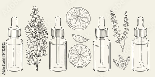 Botanical beauty products and fresh herbs in a vintage line art style