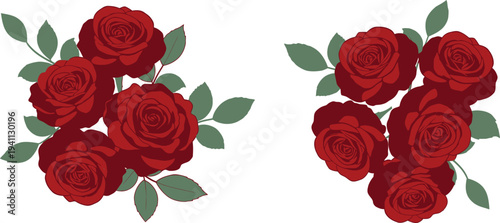 A beautiful set of red roses and floral petals isolated on a white background forms a romantic bouquet gift for a Valentine's Day wedding celebration of love