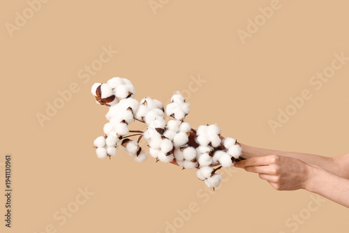 Female hands holding branch...