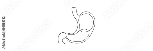 Human stomach anatomy continuous one line drawing for medical health and digestive system education concept. Editable stroke outline. Single contour art. Doodle hand drawn vector illustration