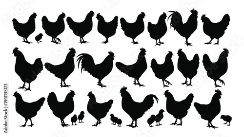 A group of chickens and chicks in various poses