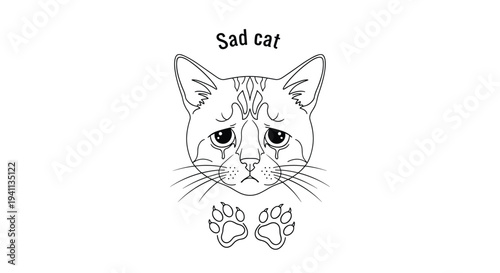 Simple black and white line drawing depicts a sad cat face with large eyes and tiny paw prints at the bottom edge.