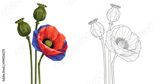 Artistic low poly illustration of red poppy flowers with green buds next to a detailed wireframe drawing of the same.