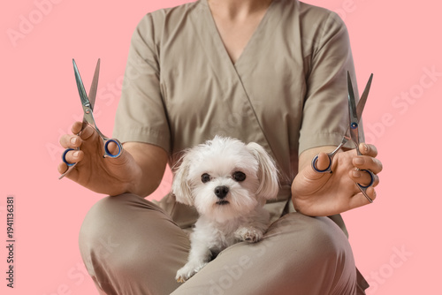 Female groomer with scissor...