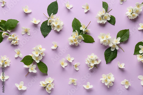 Beautiful jasmine flowers a...