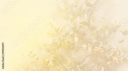 Soft warm honeysuckle gradient background from pale yellow to warm cream, gentle floral-inspired surface perfect for beauty brand food company or natural lifestyle design