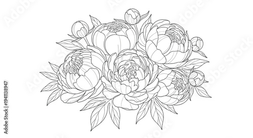 Beautiful black and white line drawing of a bouquet of blooming peonies with detailed petals and leaves for coloring or wedding invite designs.