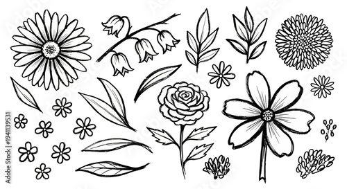 Black and white botanical illustration of various flowers and leaves on a plain background featuring blooms and foliage