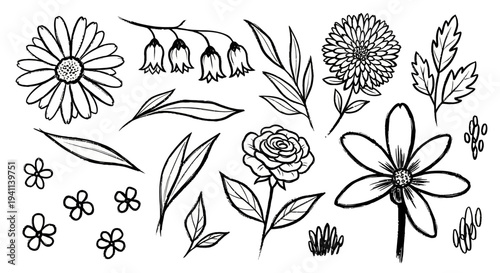 An illustration of various flowers and leaves on a white background for design