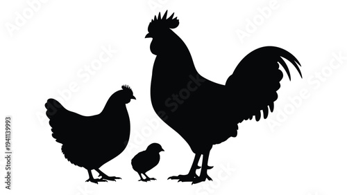 A rooster and two hens standing together