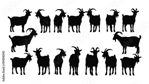 A group of goats standing in different positions