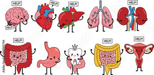 human organs cartoon characters set, brain heart lungs kidney liver stomach intestine uterus tooth vector, medical anatomy cute illustration