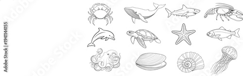 vector illustration design sea animal. star fish, whale, minimal fish, prawn, crab, sea shel, jelly fish, octopus, taltal, 