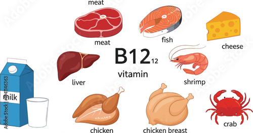 Vitamin B12 Food Sources Vector Illustration with Meat, Fish, Cheese, Milk, Liver, Chicken, Shrimp and Crab Nutrition Infographic