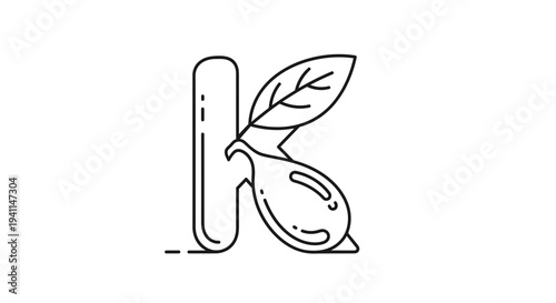 Elegant monochrome line art illustration featuring the letter K with natural citrus fruit and