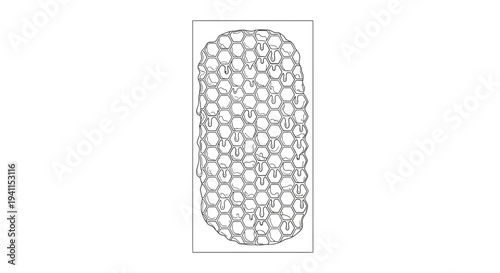 Intricate Monochrome Delineation of a Natural Honeycomb Grid with Flowing Golden Nectar Substance