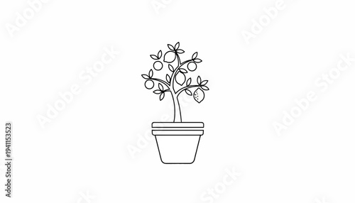 Minimalist outline drawing of a potted citrus tree bearing ripe lemons and vibrant green leaves on