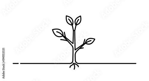 Minimalist line art illustration of a burgeoning plant with visible root system for growth and