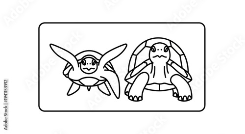 Simple line art illustration featuring two distinct turtle designs for coloring or creative projects