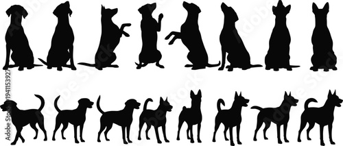 Dog silhouettes collection, sitting and standing poses, vector illustration of canine postures, walking and begging dogs, black animal figures, pet design concept