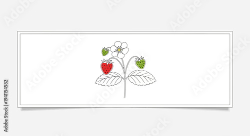 Minimalist line art illustration showcasing a thriving strawberry plant with flower and berries,