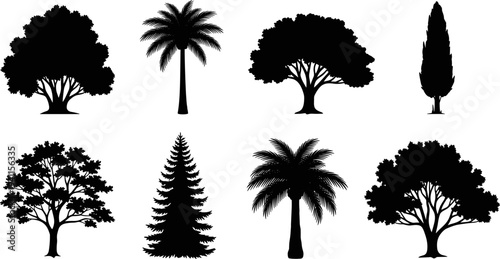 Collection of forest and tropical tree silhouettes including palm, pine and deciduous trees botanical nature vector illustration set