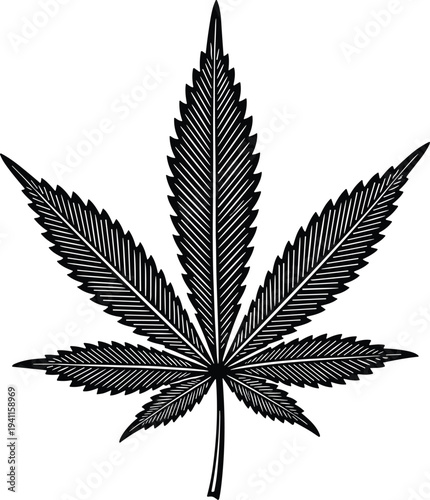 Black and white cannabis leaf vector illustration with detailed serrated edges and linear texture isolated on white background for hemp design
