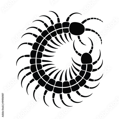 Black and white silhouette of a centipede with detailed segmented body and legs insect 1