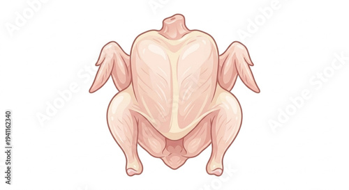 Vector illustration of raw whole chicken without skin isolated on white background