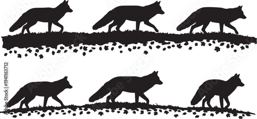 Silhouette of foxes walking in a line on ground