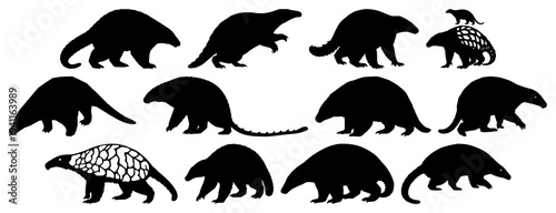 Pangolin set with solid black silhouette in defensive walking stance featuring rare pangolin, endangered wildlife, conservation icon with white background and black outline